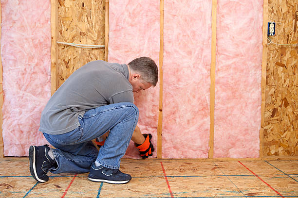 Best Commercial Insulation in Portales, NM